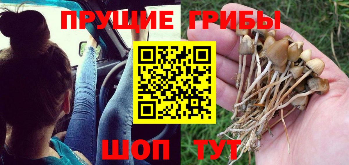 Псилоцибиновые грибы мицелий Миасс