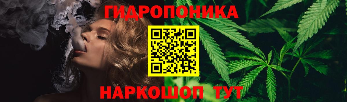 Шишки марихуана конопля  Бошки Шишки планчик  Бошки марихуана гибрид  Шишки марихуана MAZAR  Миасс  Вход с VPN 